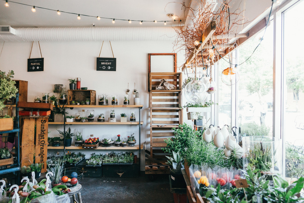 plant-terrariums-calgary