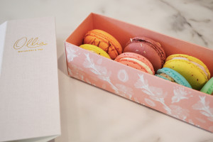 Ollia Calgary macarons