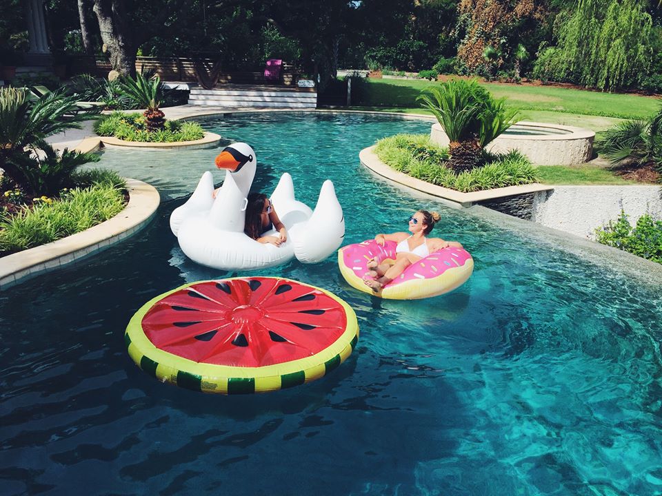 Swan donut watermelon pool floats